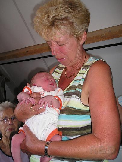 Imme 13 juli 2006 (6).JPG